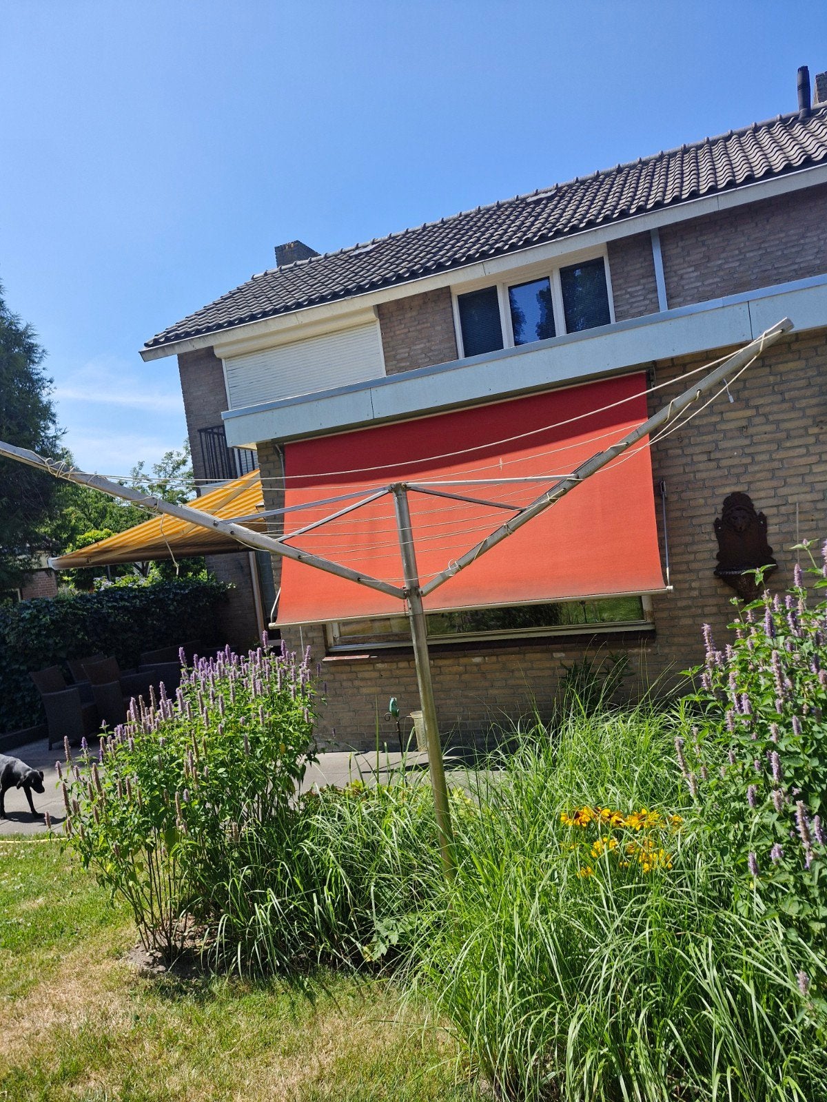 Droogmolen, Ophalen, Gebruikt