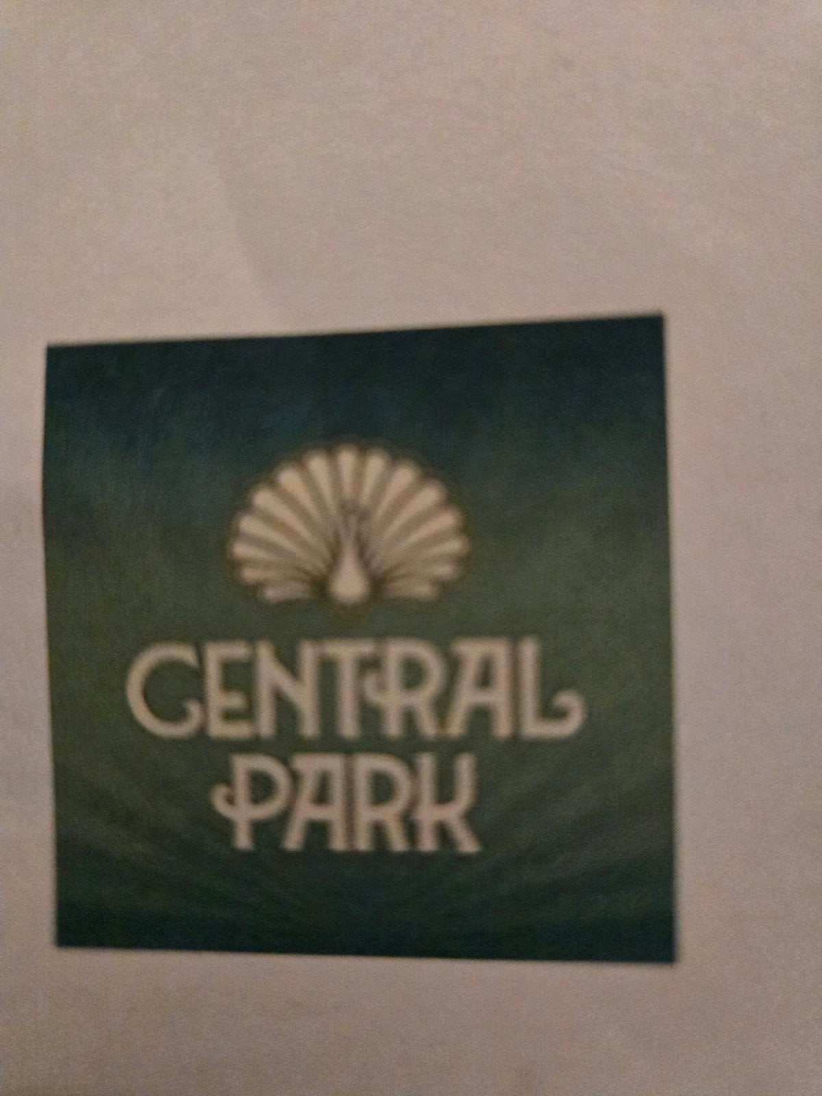 Central park 2026 13 juni x4, Eén persoon, Juni
