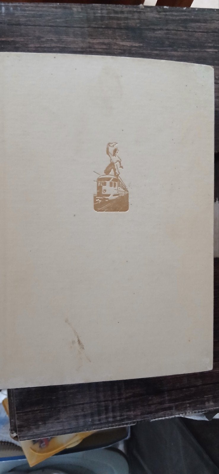 Boek over treinen, Ophalen of Verzenden, Zo goed als nieuw, Trein, Boek of Tijdschrift