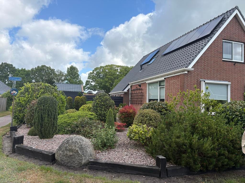 Diverse struiken en heesters, Ophalen, Overige soorten, Struik, 100 tot 250 cm