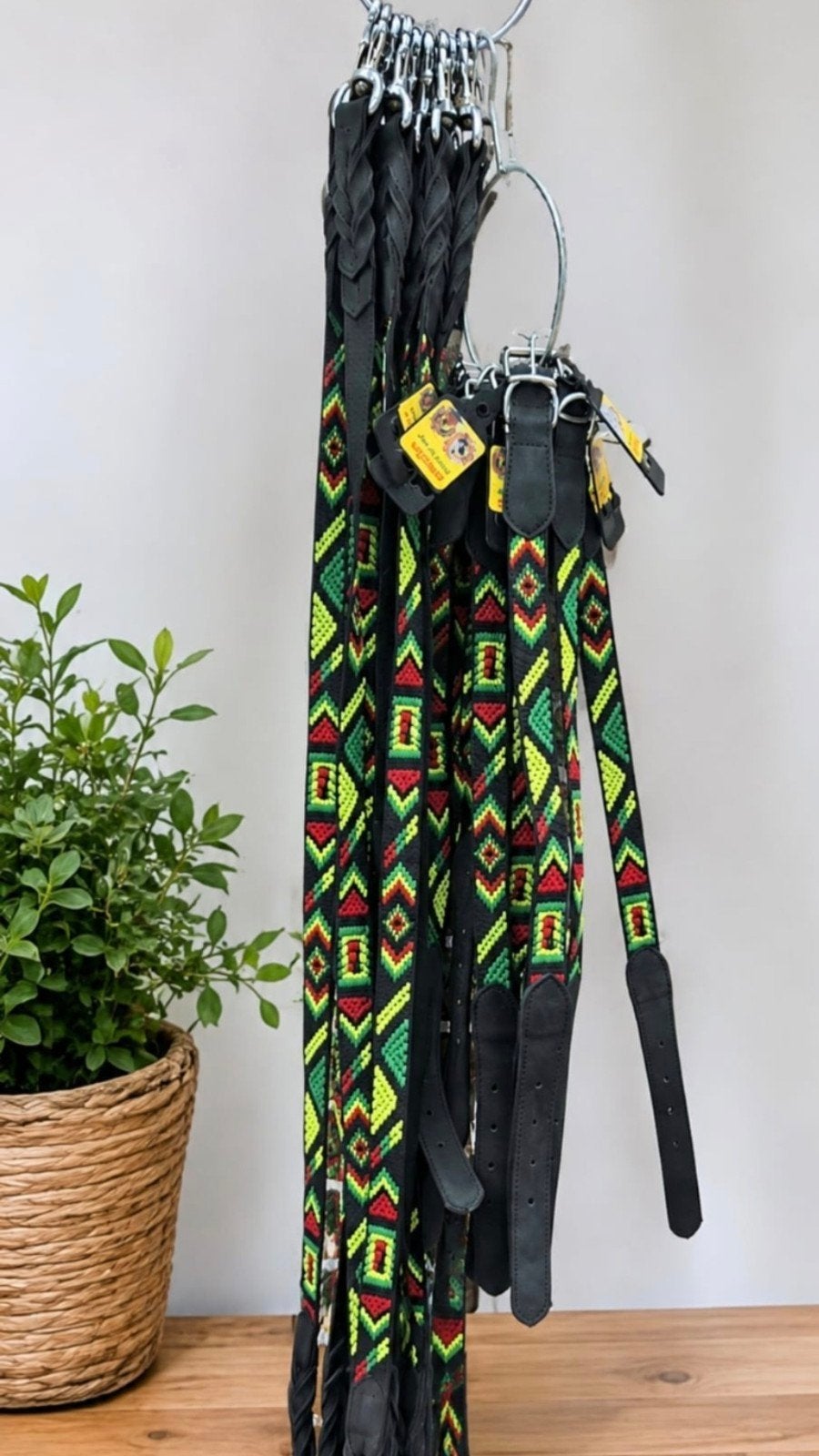 Grote hondenriem + halsband set Torino – 25 mm breed – Nieuw, Ophalen of Verzenden, Nieuw