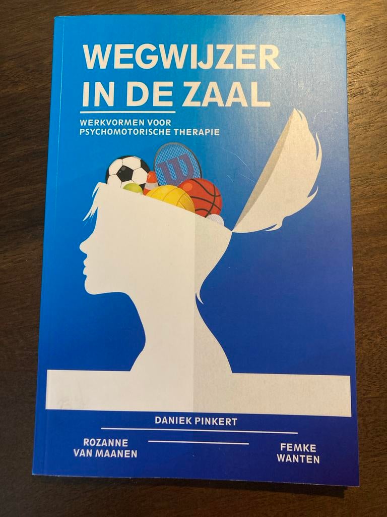 Wegwijzer in de Zaal: Werkvormen Psychomotorische Therapie, Boeken, Ophalen of Verzenden, Gamma, Gelezen, HBO