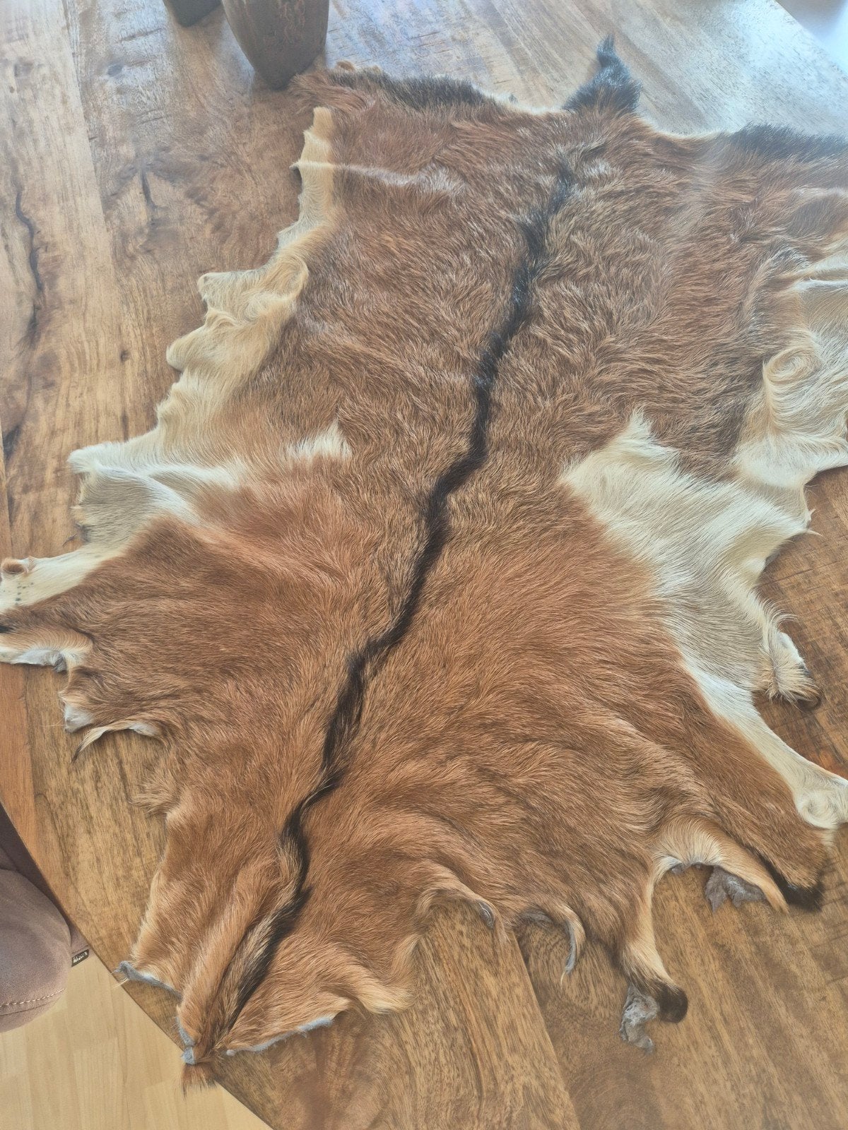 Decoratieve geitenvacht - 95 x 60 cm, Ophalen of Verzenden