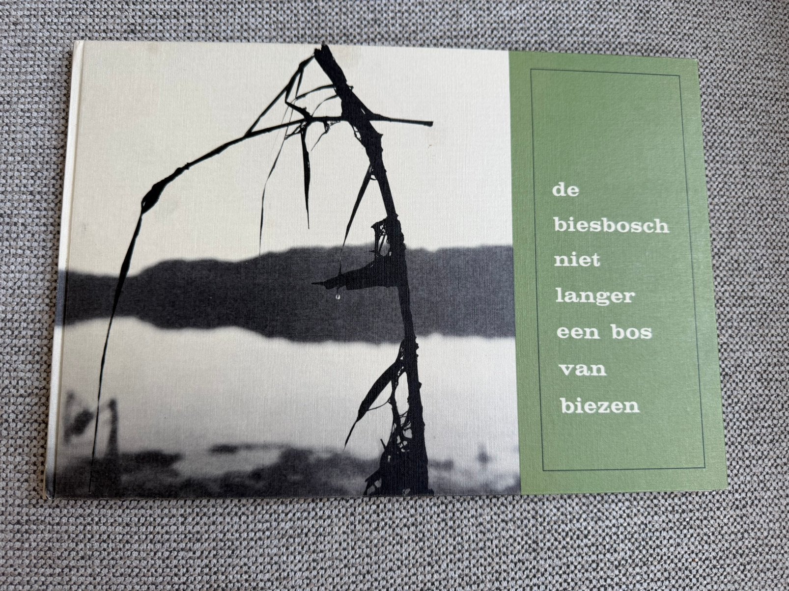 De Biesbosch niet langer een bos van biezen, Ophalen of Verzenden, Gelezen, Wandel- of Recreatiegebieden