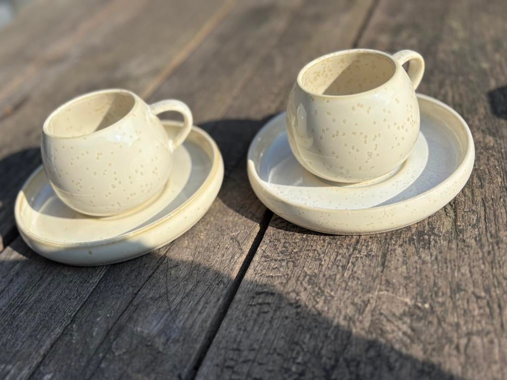 F2D servies - 35 koppen + 35 schotels, Ophalen, Zo goed als nieuw, Overige stijlen, Kop(pen) en/of Schotel(s)