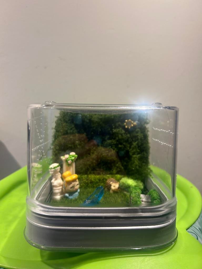 Assepoester springspin terrarium klein, Spin of Schorpioen