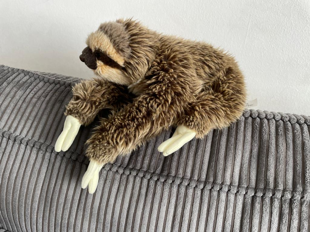 Mooie luiaard knuffel 30 cm van national geographic, Ophalen of Verzenden, Zo goed als nieuw, Overige typen