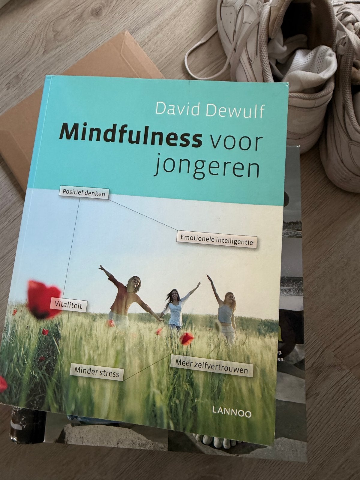 Mindfulness voor jongeren - David Dewulf (Lannoo), Ophalen of Verzenden, Gelezen, Overige onderwerpen