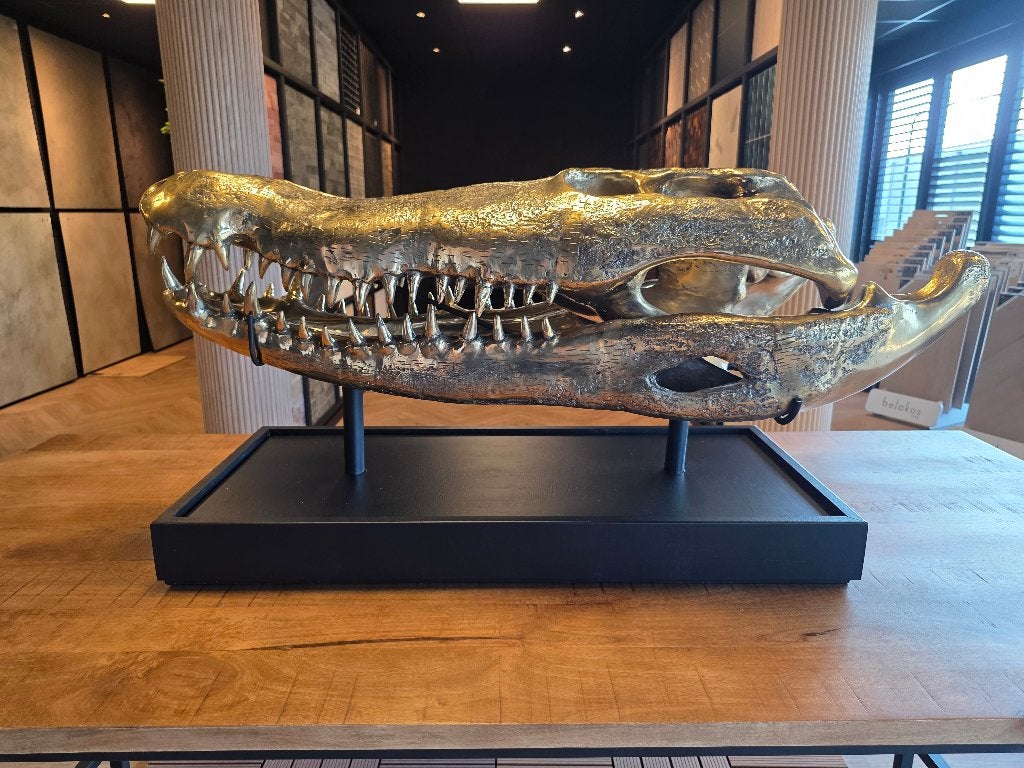 Exclusieve XXL krokodilschedel sculptuur met standaard 105cm, Antiek en Kunst, Overige onderwerpen, Ophalen of Verzenden, Handgemaakt