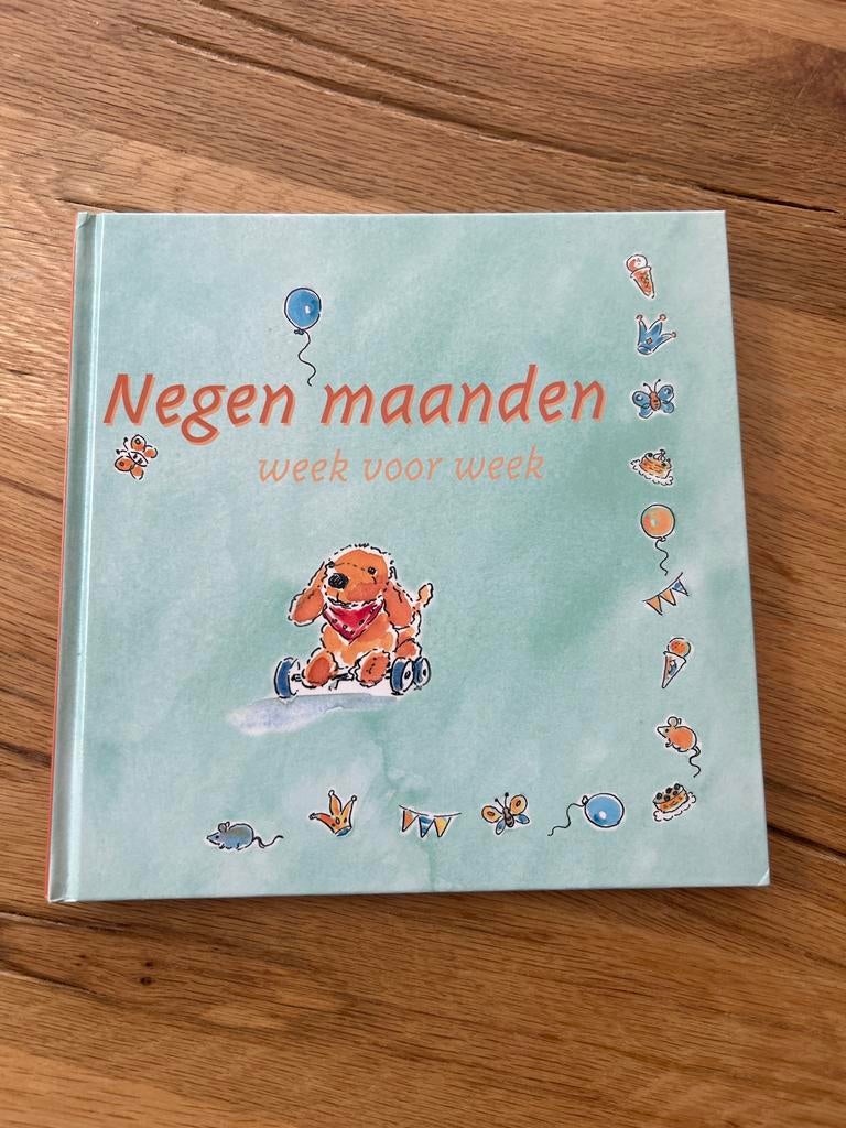 Negen maanden week voor week - Zwangerschapsboek, Ophalen of Verzenden, Zo goed als nieuw, Zwangerschap en Bevalling
