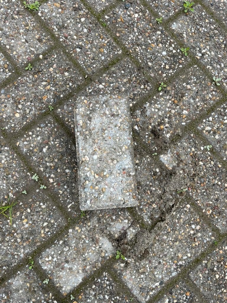 Grote partij gebruikte Betonklinkers, Grijs, 7cm, Ca. 1500m², Tuin en Terras, Gebruikt, Klinkers, Ophalen of Verzenden, 10 m² of meer