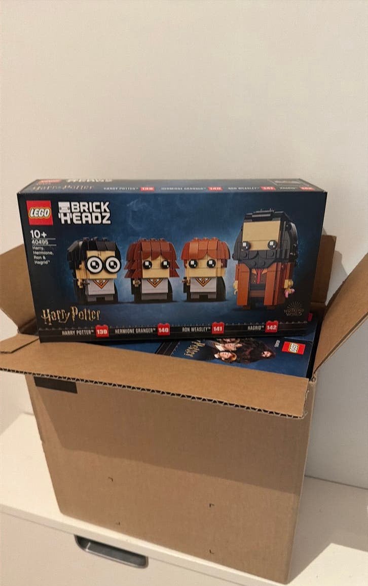 4x LEGO 40495 Harry, Hermione, Ron & Hagrid, Ophalen of Verzenden, Zo goed als nieuw