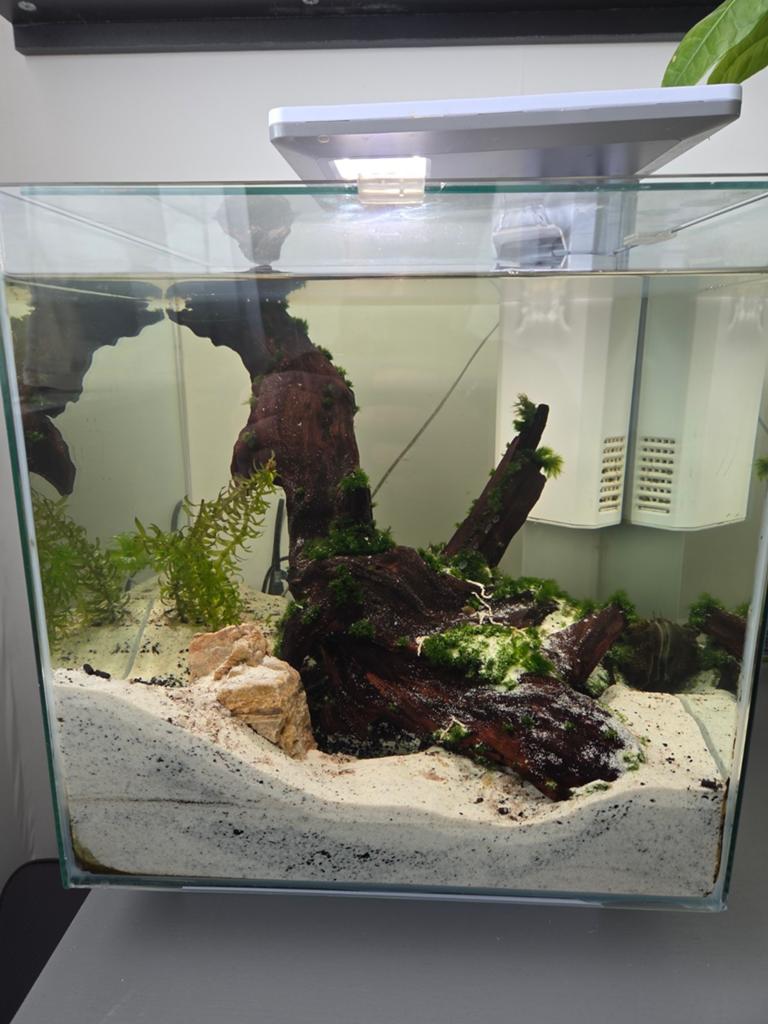 Superfish Qubiq 30Pro, Dieren en Toebehoren, Ophalen, Gevuld zoetwateraquarium