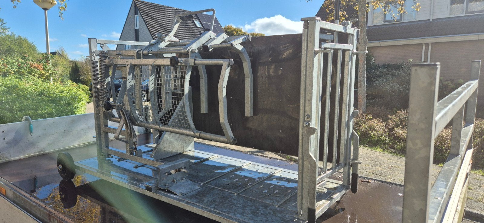 bekapbox/zijkantelaar/behandeling voor schapen, Mannelijk, Schaap