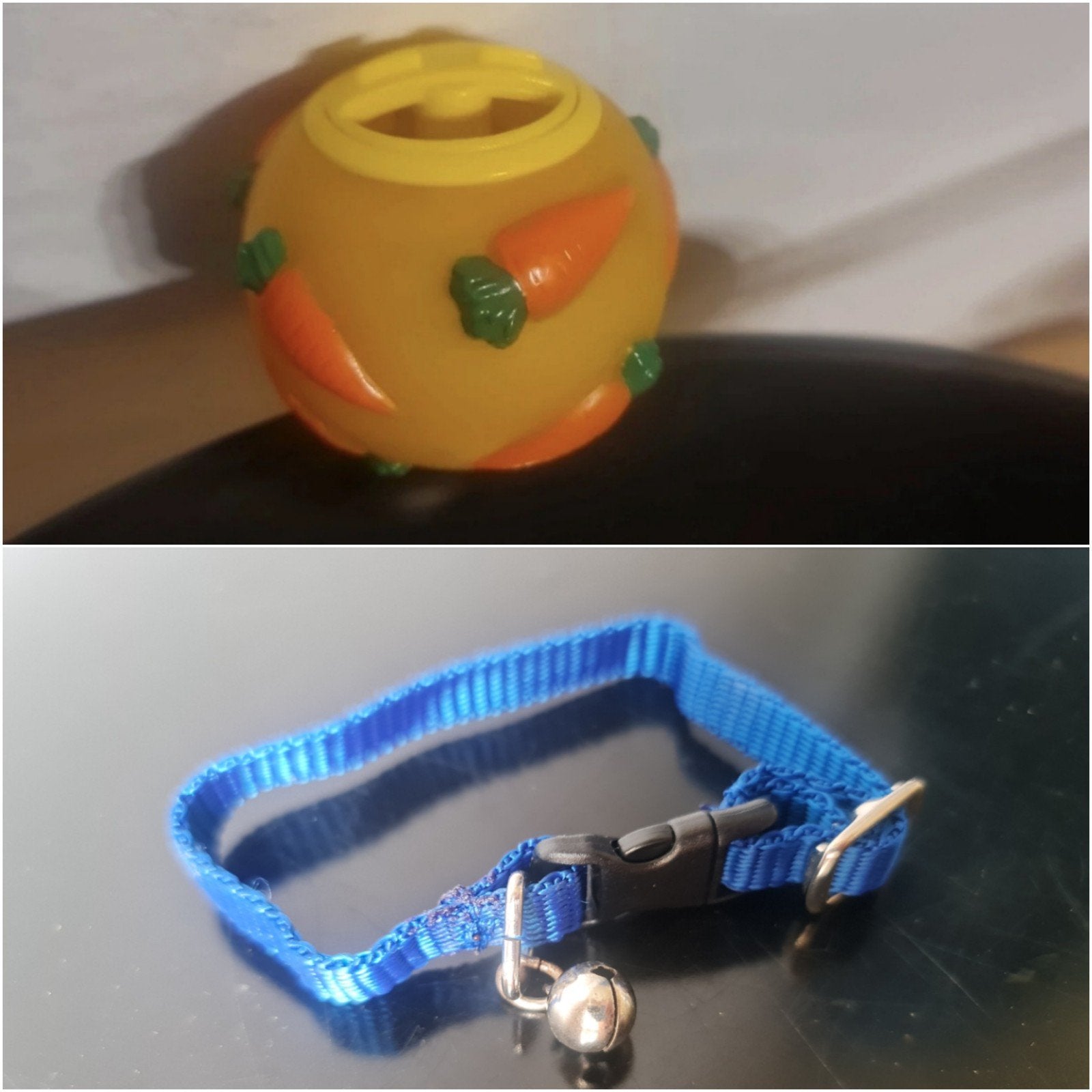 Halsband knaagdieren maat M met speeltje bundel, Ophalen of Verzenden, Gebruikt, Speelgoed