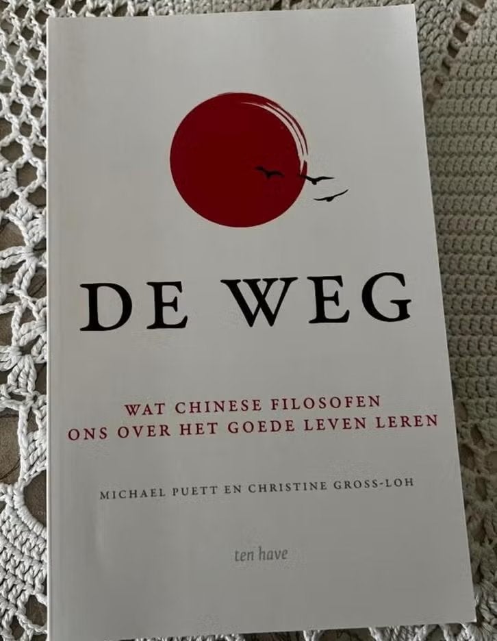 Boek 'De weg' put Puett uit het werk van 6 Chinese filosofen, Ophalen of Verzenden, Zo goed als nieuw, Cultuurfilosofie, Michael Puett