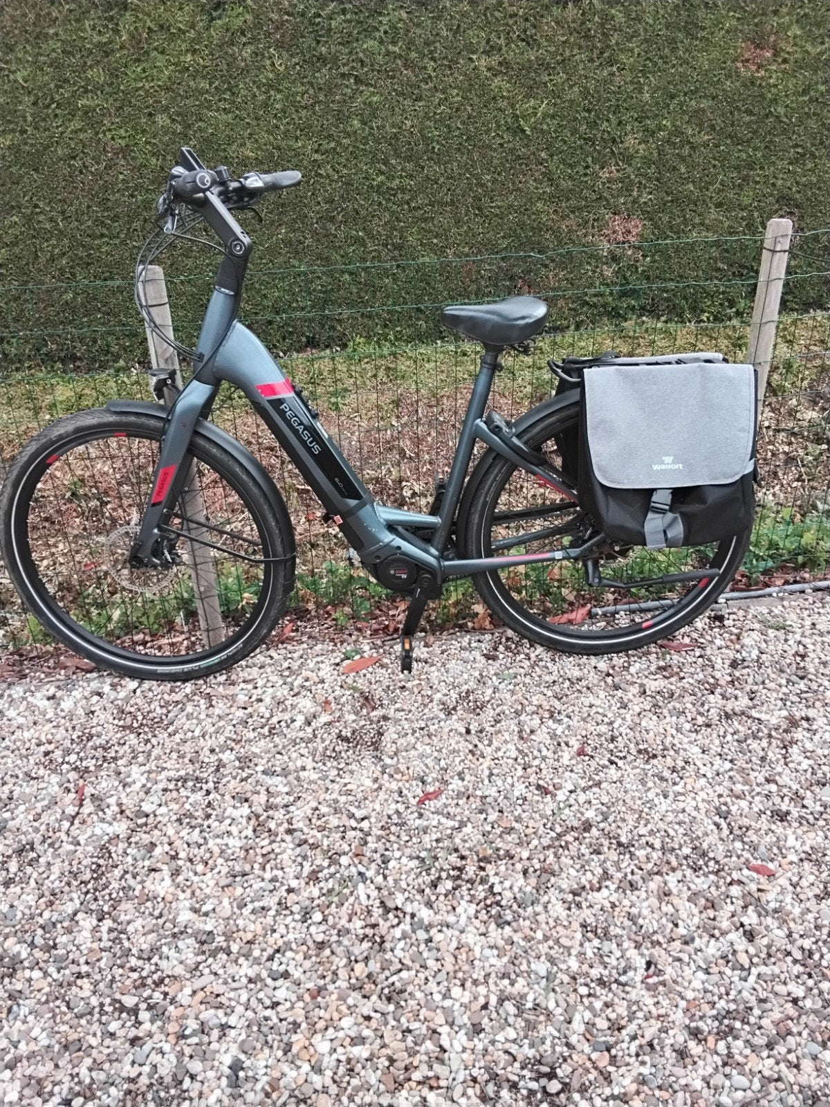 Pegasus Tecaro E-bike: Duitse kwaliteit, 85Nm middenmotor, Gebruikt, 47 tot 51 cm, 50 km per accu of meer, Ophalen