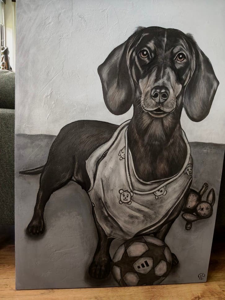 Schilderij Uitdagende Teckel op groot paneel 120 x 80 cm ., Ophalen, Hout, Handgeschilderd, Dieren