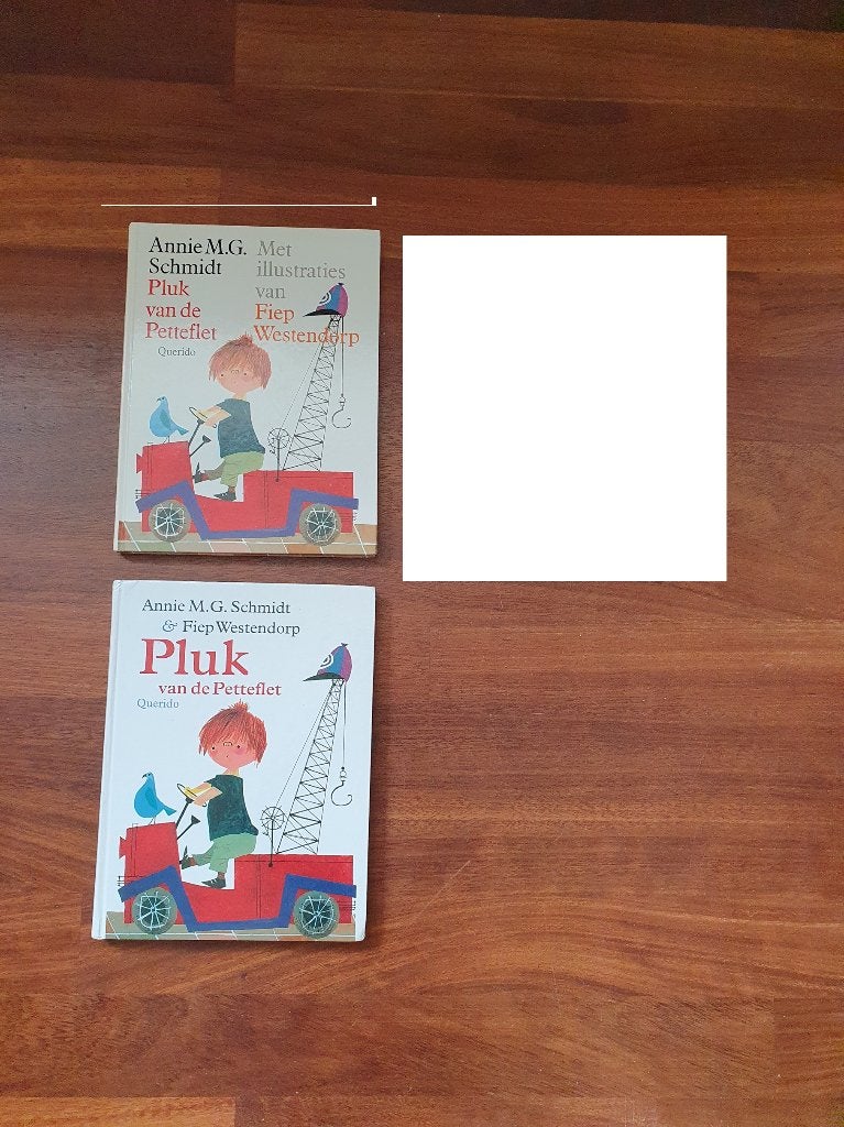 PLUK  VAN  DE  PETTEFLET   van  Annie M.G. Schmidt, Ophalen of Verzenden, Gelezen, Fictie algemeen
