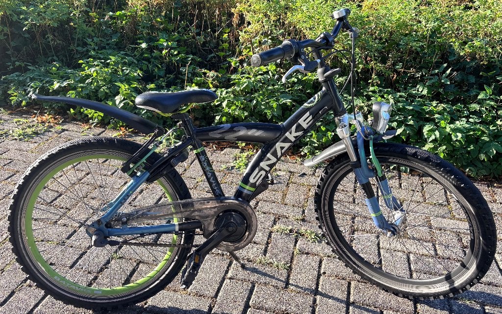 Super Stoere Batavus Snake 22 inch 3 Nexus met Voorvering., Ophalen, Gebruikt, Batavus, Terugtraprem