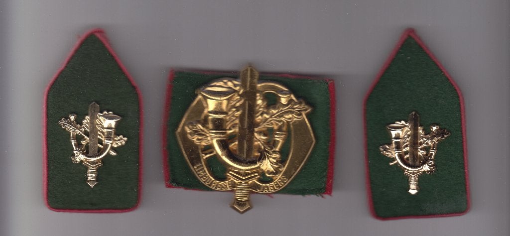 baretembleem enset kraagpatten Limburgse Jagers, Verzamelen, Ophalen of Verzenden, Landmacht, Nederland, Embleem of Badge
