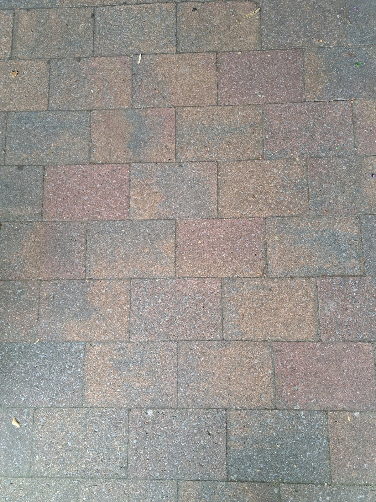 Gratis Trommelstenen 20x30x6 cm, Tuin en Terras, Ophalen, Gebruikt, Beton, Terrastegels