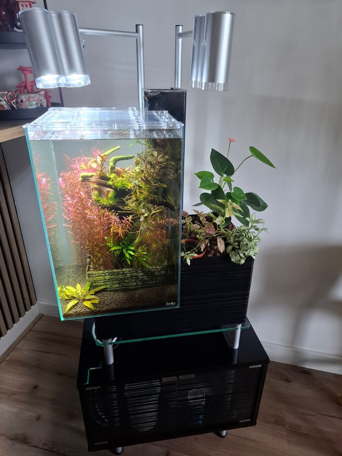 brio35 aquarium, Ophalen, Pomp, Gevuld zoetwateraquarium, Overige merken