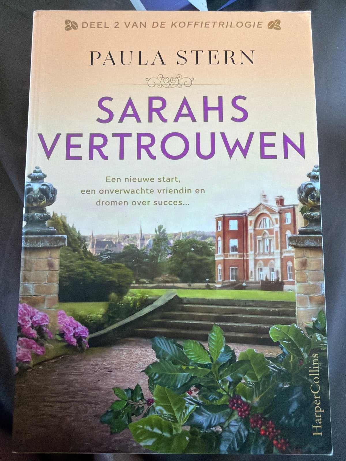 SLK.   Paula Stern - Sarahs vertrouwen, Boeken, Ophalen of Verzenden, Zo goed als nieuw, Paula Stern