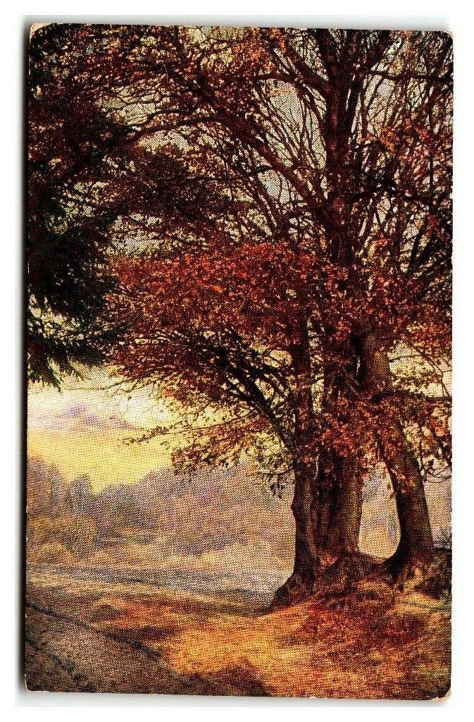 Onbekende illustrator, Verzenden, 1920 tot 1940, Ongelopen, Overige thema's