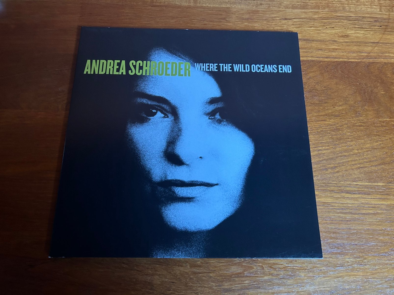 Andrea Schroeder - Where the wild oceans end (vinyl/lp), Ophalen of Verzenden, Zo goed als nieuw, LP