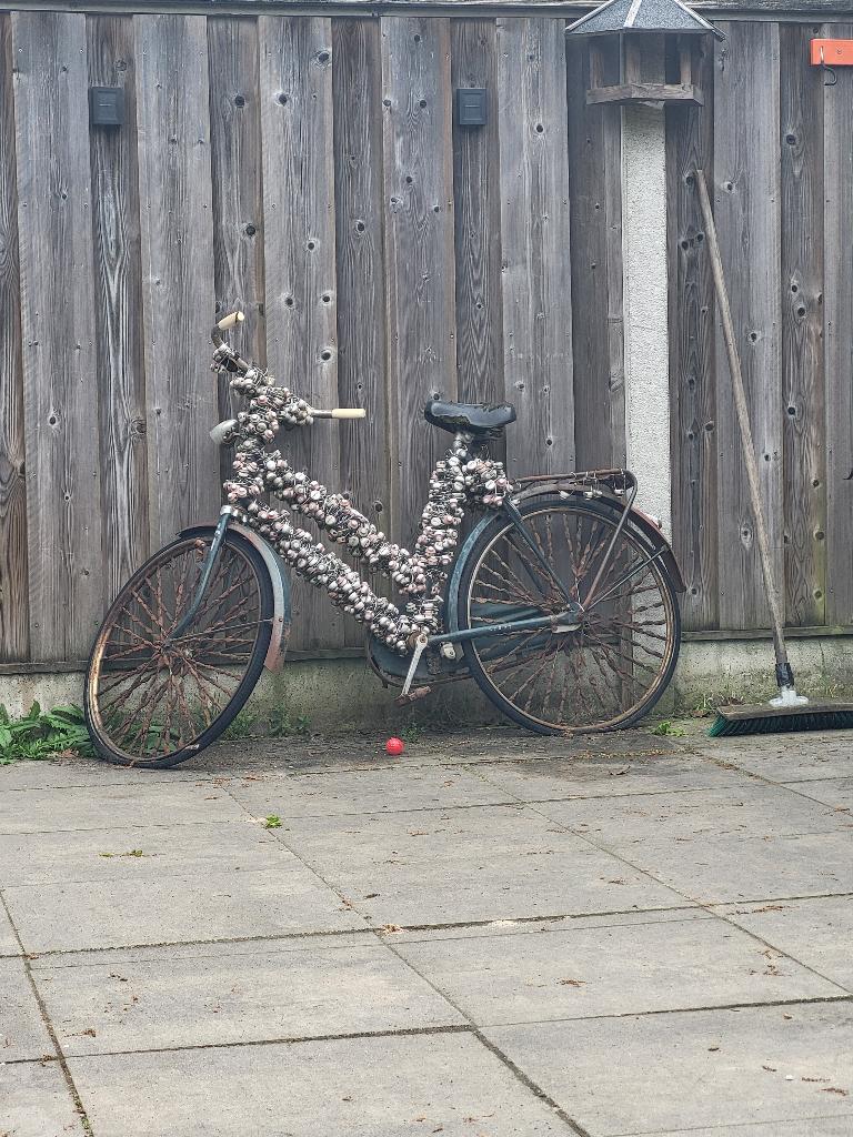 Gratis op te halen grolsch bier fiets, Fietsen en Brommers, Fietsen | Dames | Damesfietsen, Ophalen, Gebruikt, Overige merken
