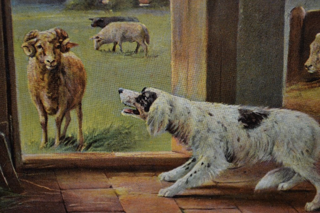 DUITSLAND 1906 HOND MET SCHAPEN RAM IN STAL, Ophalen of Verzenden, Voor 1920, Gelopen, Sterren en Beroemdheden