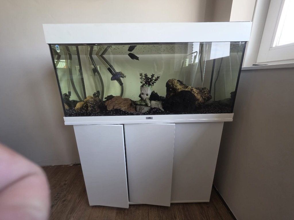 Juwel Rio 180 met Oase BioMaster 600 (aanzuig problemen), Ophalen, Gebruikt, Gevuld zoetwateraquarium, Inclusief toebehoren