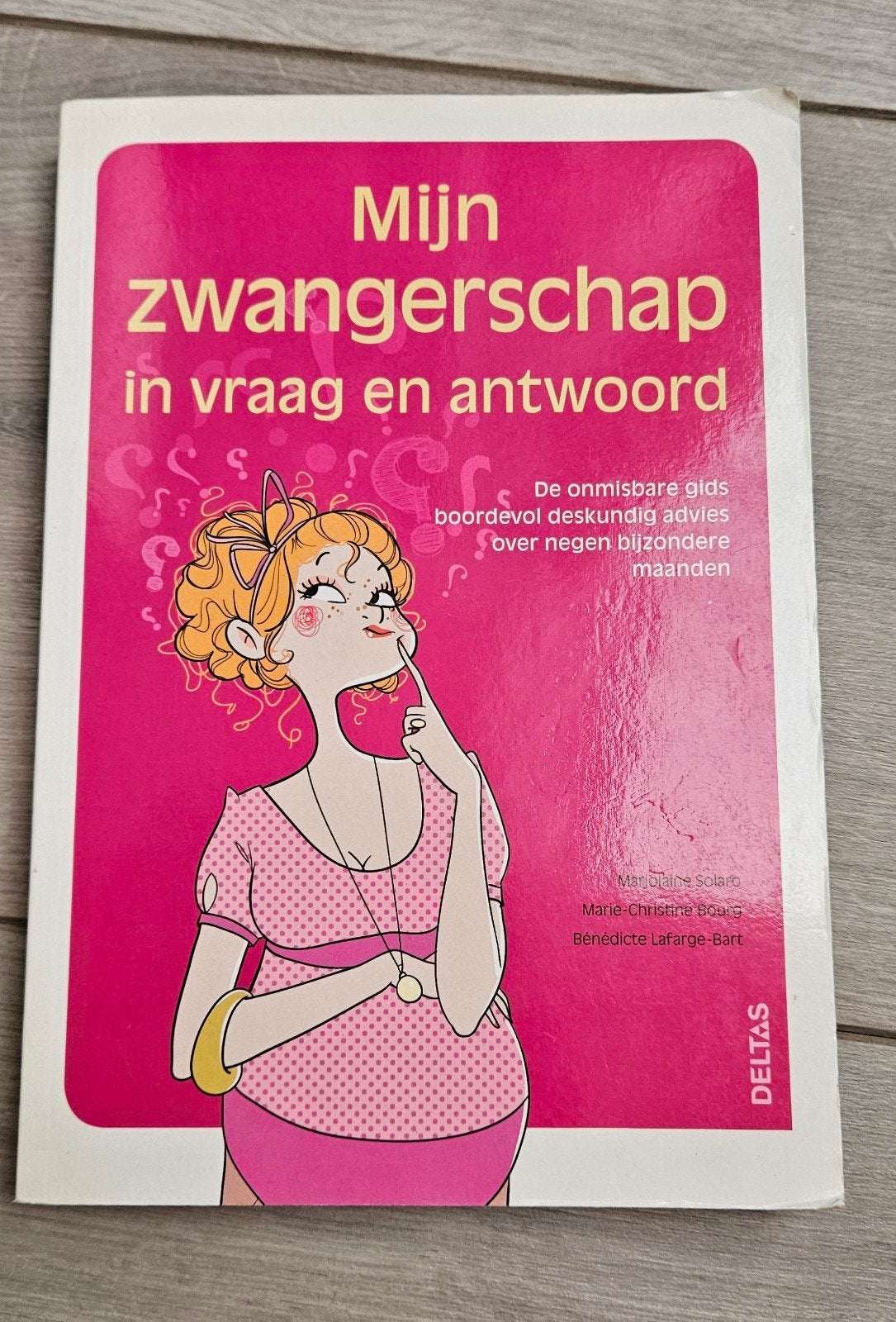Informatief boek zwangerschap, Ophalen of Verzenden, Zo goed als nieuw, Zwangerschap en Bevalling