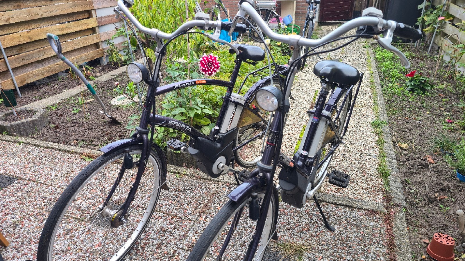 Twee Sparta Pharos elektrische fietsen, 51 tot 55 cm, Ophalen of Verzenden, Gebruikt, Sparta