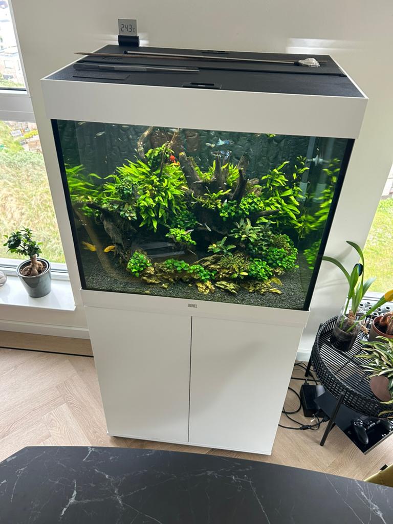Juwel Lido 200 LED aquarium wit + onderkast + Eheim Pro 4+, Ophalen, Juwel, Inclusief toebehoren, Gevuld zoetwateraquarium