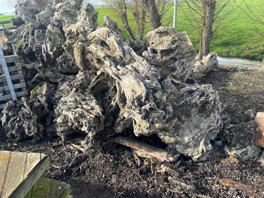 Unieke olijfboom stronken te koop als decoratie materiaal, Tuin en Terras, Overige Tuin en Terras, Nieuw, Ophalen
