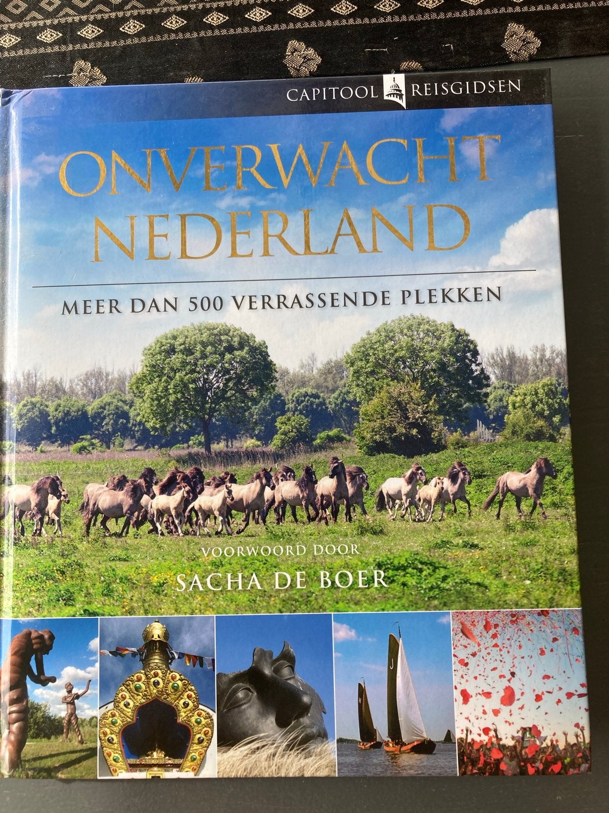 Onverwacht Nederland: Meer dan 500 verrassende plekken, Capitool, Ophalen of Verzenden, Zo goed als nieuw, Reisgids of -boek
