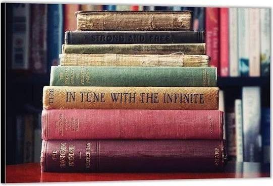 Meer dan 50 studieboeken voor de Pabo Leerjaar 1 t/m 4, Diverse auteurs, Zo goed als nieuw, Alpha, HBO