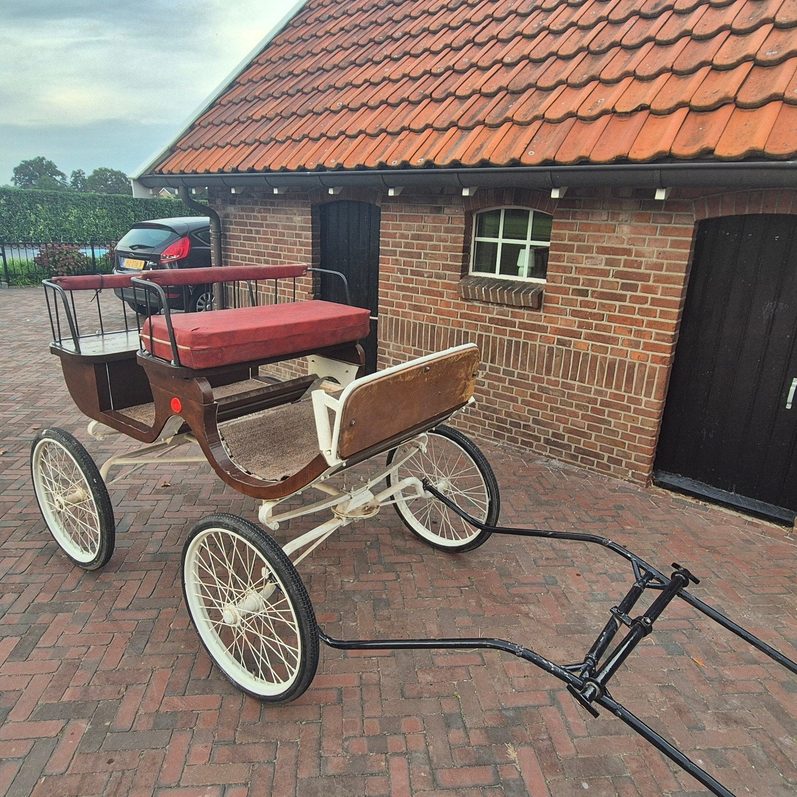 Lichte Paardenkoets / Wagonette met Bladveren & Opbergruimte, Overige typen, Paard