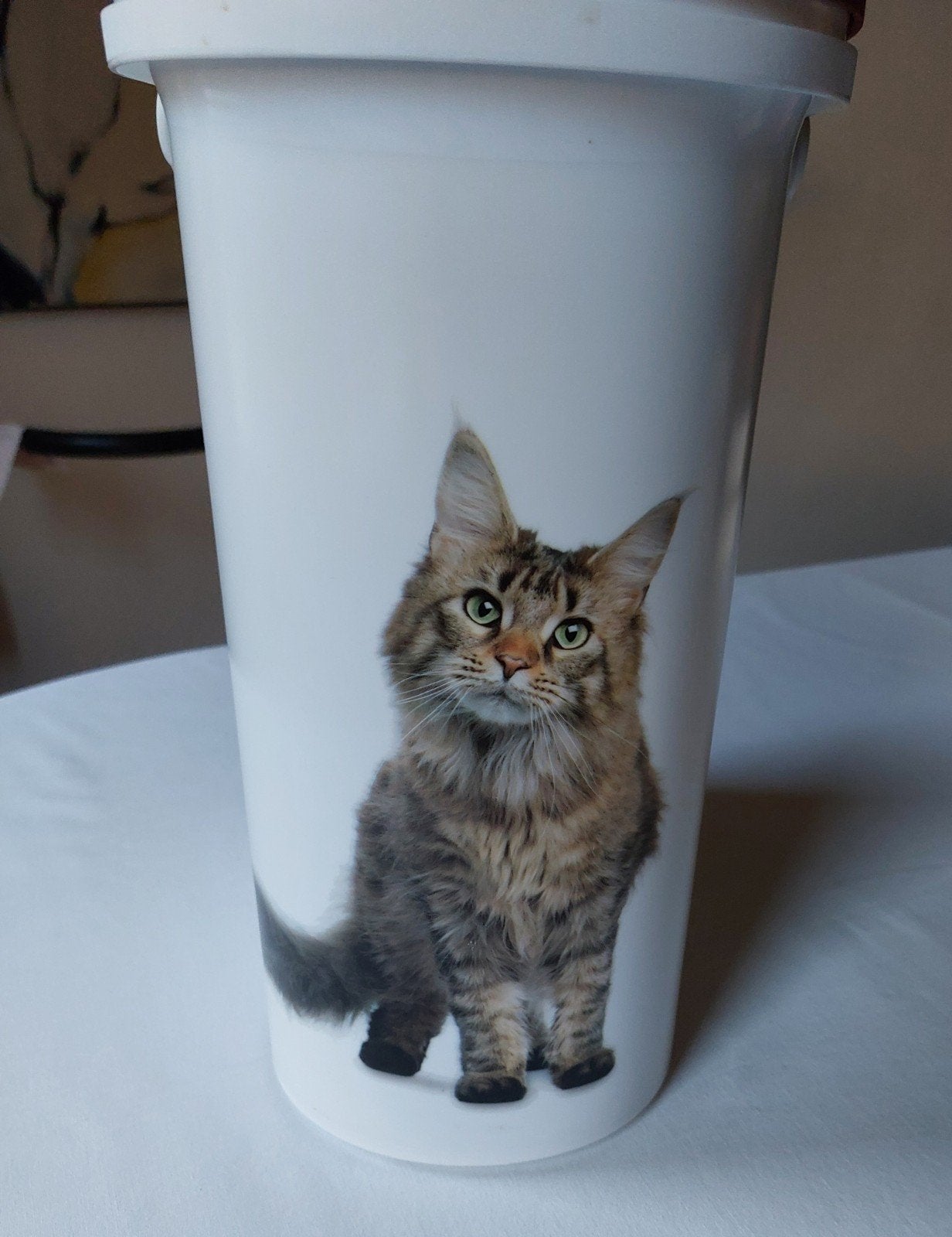 Kattenbrokjescontainer van CURVER voor 4 kg/10 ltr., Ophalen of Verzenden, Zo goed als nieuw