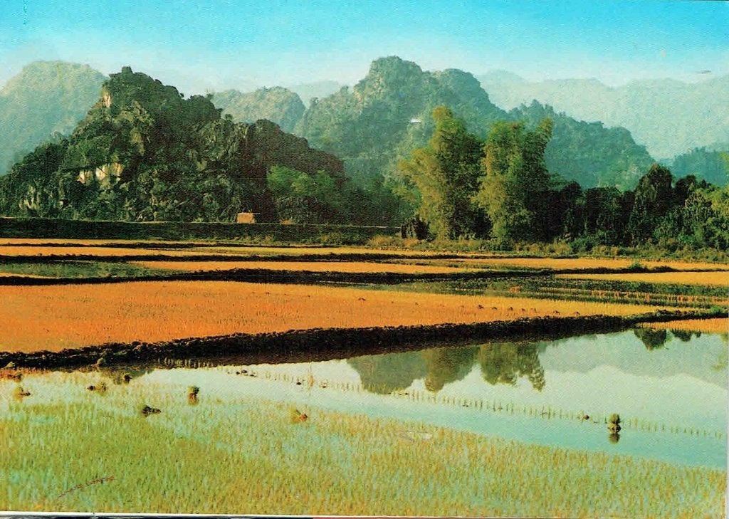 Vietnam 2014 Tuyet Son Landbouw Turnen Brug > Veen, Verzenden, 1980 tot heden, Gelopen, Natuur