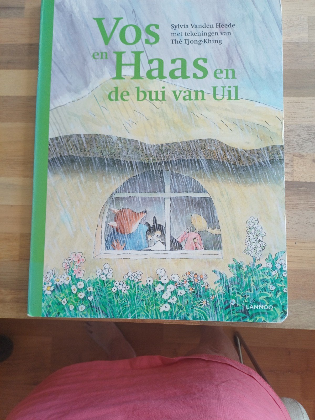 Sylvia Vanden Heede - Vos en Haas en de bui van Uil, Ophalen of Verzenden, Zo goed als nieuw, Sylvia Vanden Heede