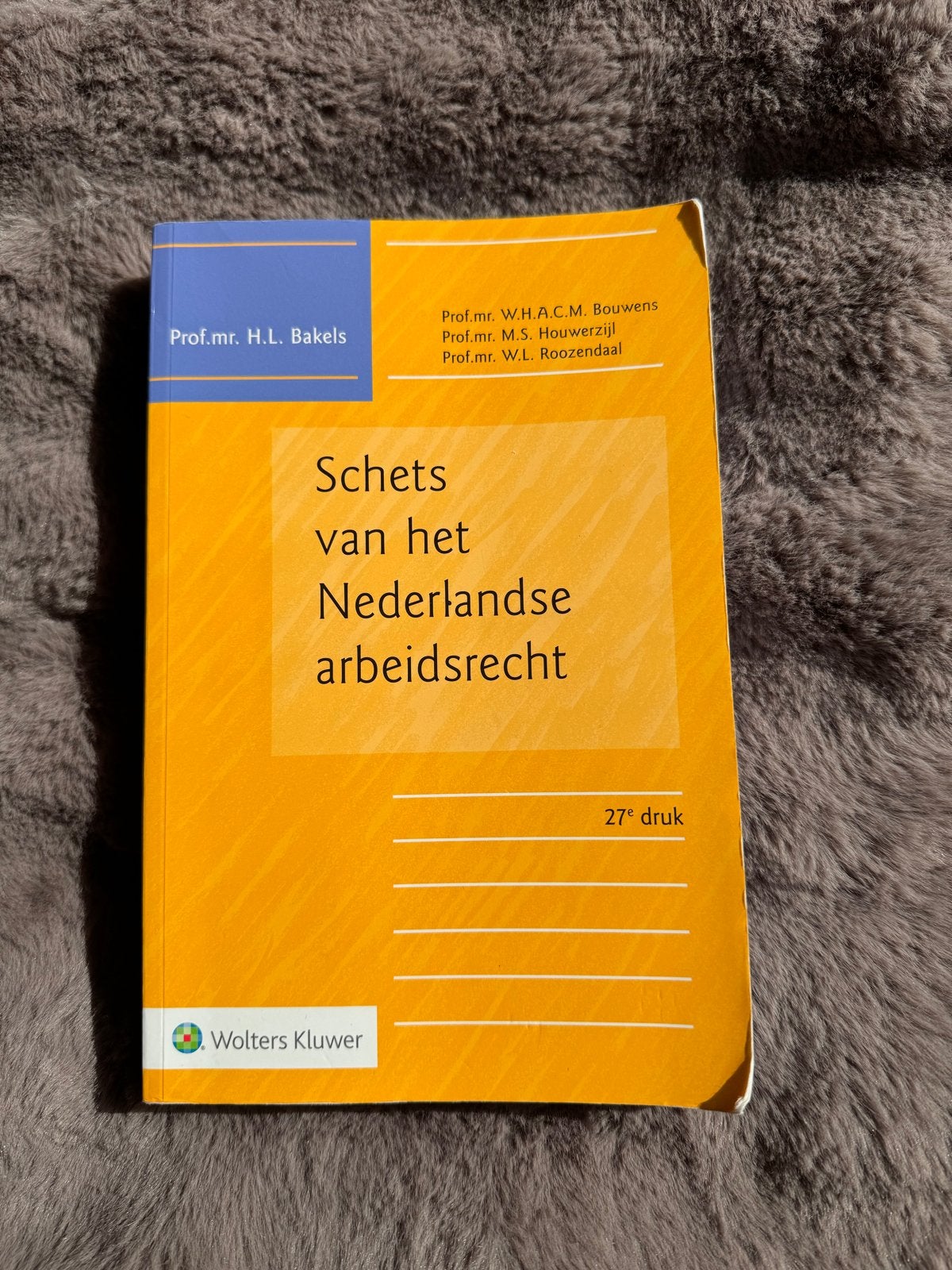 Schets van het Nederlandse arbeidsrecht, 27e druk, Ophalen of Verzenden, Gamma, Gelezen, WO