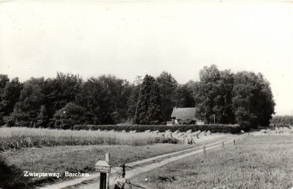 Zwiepseweg, Barchem - 197? gelopen, Verzamelen, Ansichtkaarten | Nederland, Ophalen of Verzenden, Voor 1920, Gelopen, Friesland
