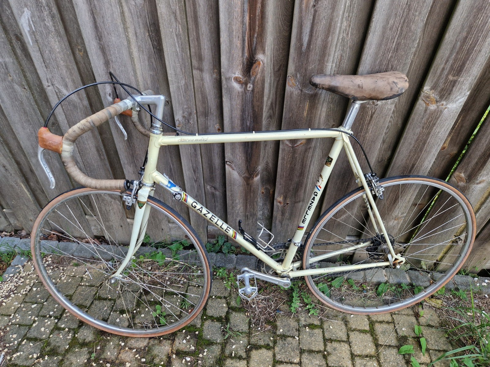 schuurvondst Gazelle champion Mondiaal  nog origineel, Ophalen of Verzenden, Gazelle