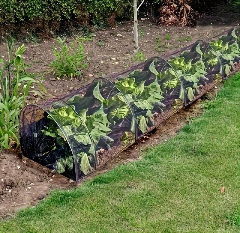 tuintunnel voor bescherming groente en fruit - nieuw, Ophalen, Nieuw, Overige soorten