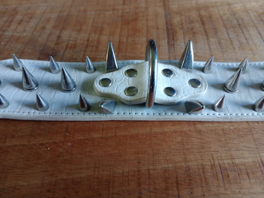 Honden halsband met echte spikes 53cm 2st. 15euro, Dieren en Toebehoren, Ophalen of Verzenden, Nieuw, Hondenriem