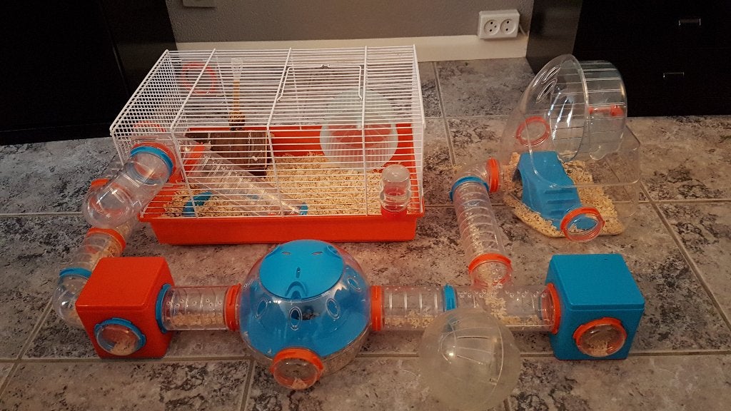 Hamsterkooi Ferplast met veel extra’s, Kooi, Gebruikt, Minder dan 75 cm, Muis