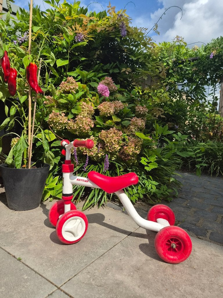 Loopfietsjes, Ophalen, Gebruikt, Loopfiets